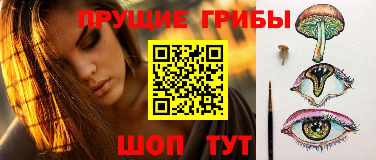 Псилоцибиновые грибы GOLDEN TEACHER Луга