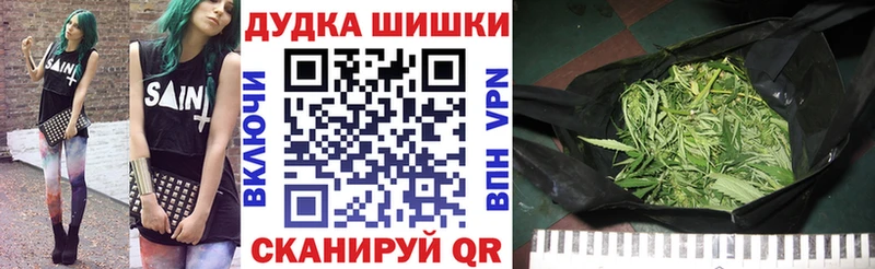 купить наркотики сайты  Луга  Шишки марихуана Ganja 